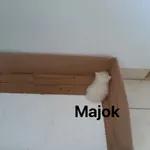 tu soalan ke cemburu