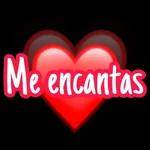TE AMO 