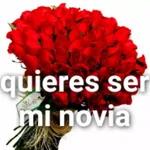 Holissss