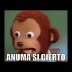 ANUMA SI CIERTO 