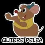 QUIERE PELEA 