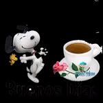 BUENOS DIAS