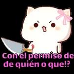bom dia