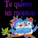 buenos días
