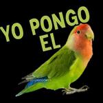 y soportaaa