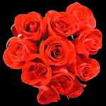 آمين اجمعين
