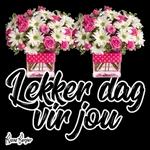 Lekker dag 