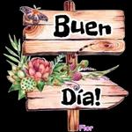 * Buen Dia