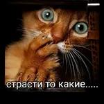 всем