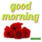 Good Morning
Beautiful
