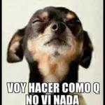 ¿Y QUE HAGO? ¿TE APLAUDO?