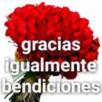 gracias
gracias
GRACIAS
