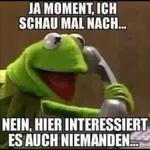Gans schockiert🤣🤣🤣