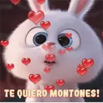 Te quiero montones