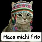 frío  🥶🧣