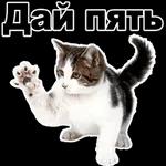 люблю