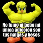 bom dia