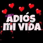 gracias 
