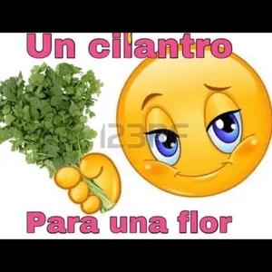 lnxfqp
