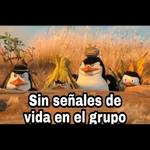 Johnny, la gente está muy loca... WTF? 