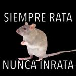 rata