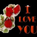 I love you