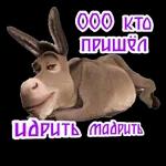 Давай