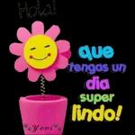 HERMOSO DÍA