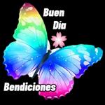 good night sweetie