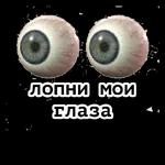 САМОЛЕТ ЛЕТЕЛ, КОЛЁСА ТЁРЛИСЯ, ВЫ НЕ ЖДАЛИ НАС, А МЫ ПРИПЁРЛИСЬ