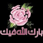 اضافه الى الوتس