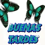 buenas tardes