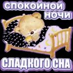 спокойной ночи