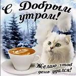 Зимнее утро