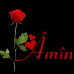 amin