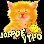 с добрым утром 2