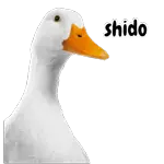 sixi