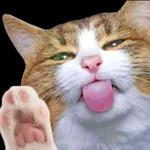 You were born to stand out ✨