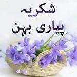شانِ شناسی کی وجہ