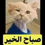 صباح الخير