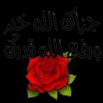 نسانهاییصباح الخ