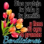 feliz día 