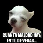 Tal vez unos machetazos te hagan reflexionar