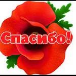 спасибо