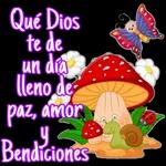 BENDICIONES