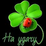 кн НАН г ш-ш-ш ш