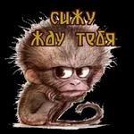 Хочу, люблю,жду