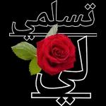 حبيبيت بابا