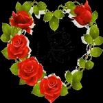 yakup1970ciftci@gmail.com