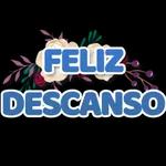 My Pack 26